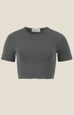Collective Seamless Cropped SS Top W
